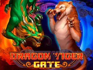 Dragon Tiger Gate game cover